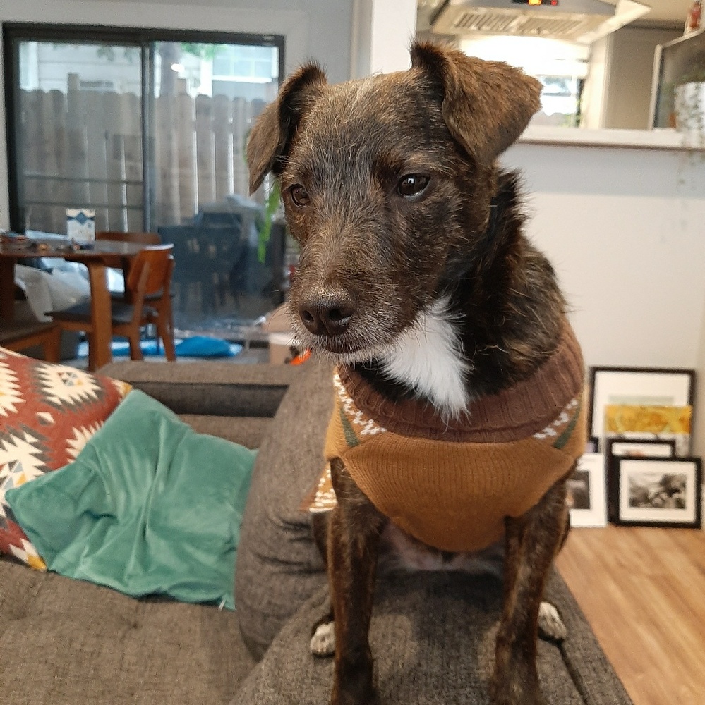 Meet your Posher, Staci